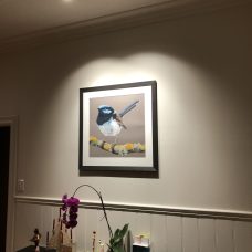 IMG_0526